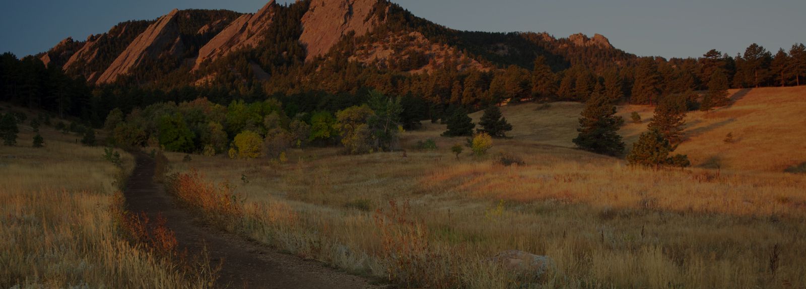 Footer Form Background Image